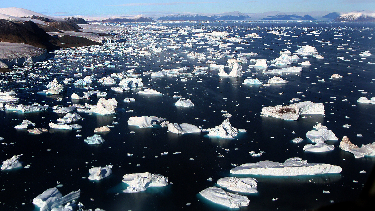 Icebergs floating